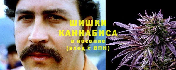 СК Алзамай