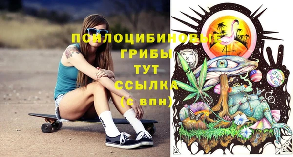 СК Алзамай
