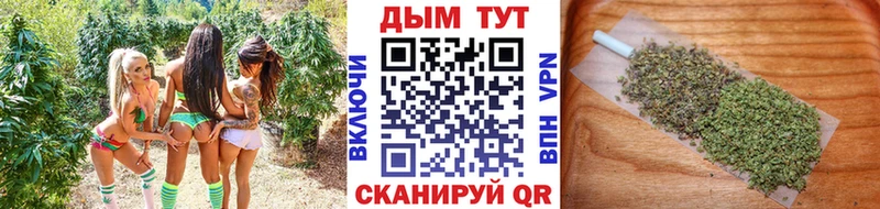 Конопля Bruce Banner  Ставрополь 